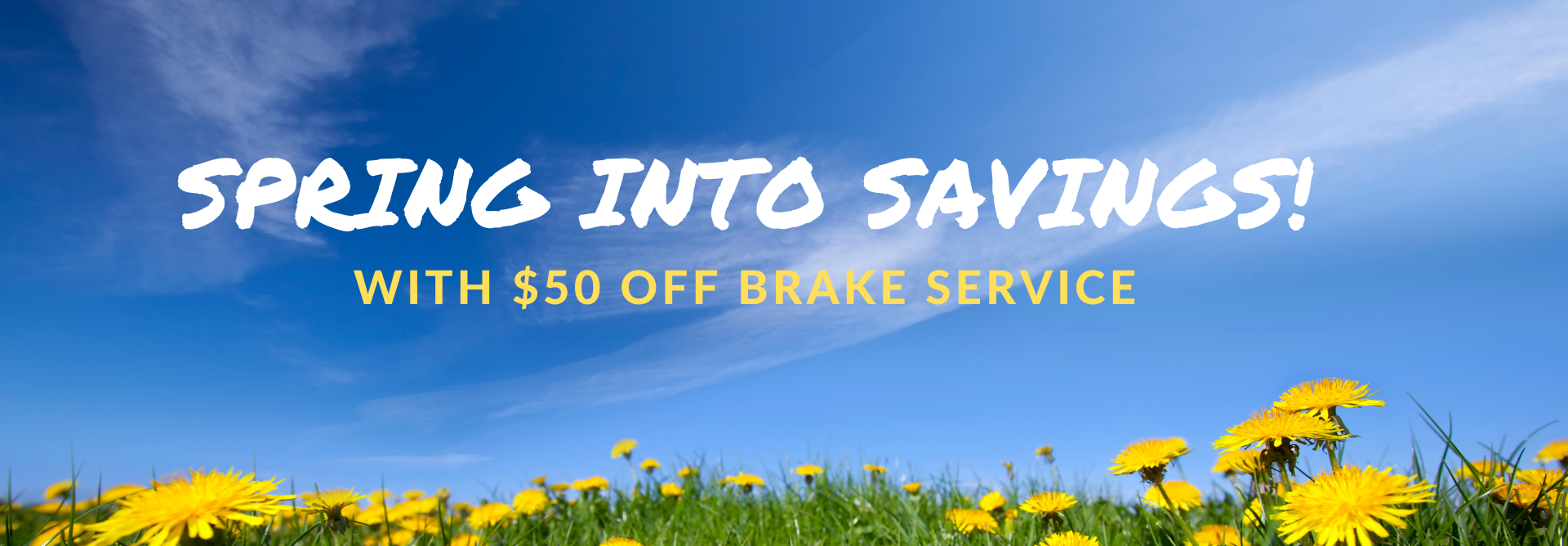 SPRING DISCOUNT (2)